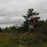 20130530141752