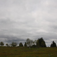 20130530141827