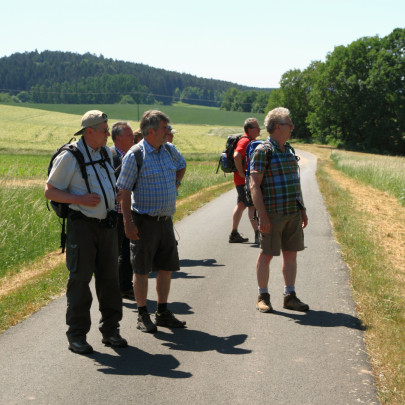 wanderboys