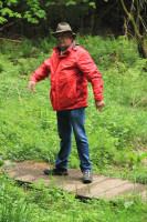 dpp dpp