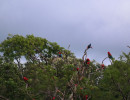 20160325144336 20160325144336