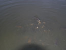 20160309232525 20160309232525