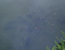 20160309232930 20160309232930
