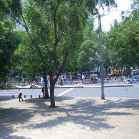 20080426194206 20080426194206