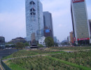 20080426200344