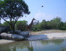 20080427182045