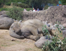 20080427183152