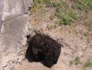 20080427183549