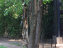 20080427192614