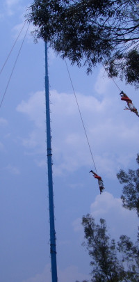 20080427204338 20080427204338