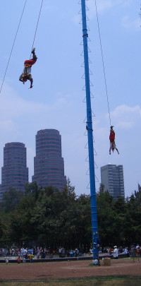 20080427204445 20080427204445