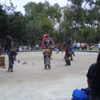 20080427204911 20080427204911