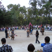20080427205019 20080427205019