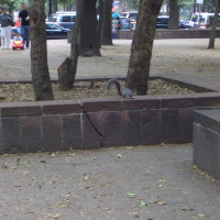 20080427211420 20080427211420