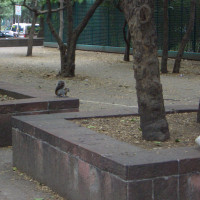 20080427211433 20080427211433