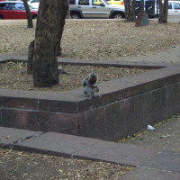 20080427211505 20080427211505